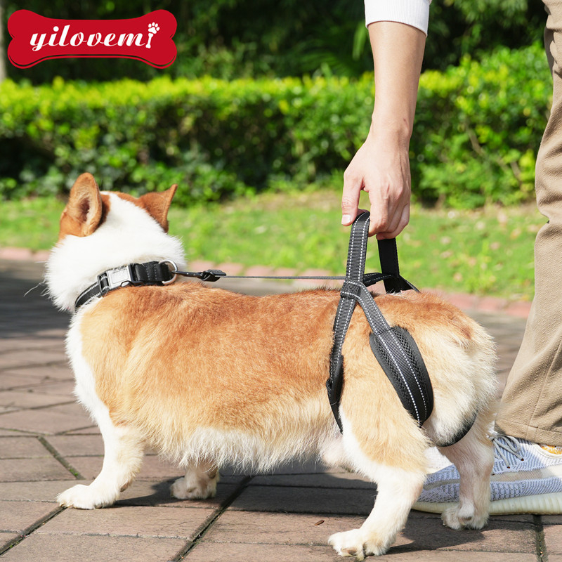 Кучешка каишка за рехабилитация на задния крак — тракционна лента с мрежеста материя и алуминиева катарама (за възрастни или ранени кучета)