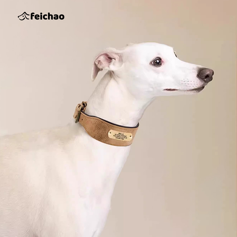 Graviruota šuns kaklo apykaklė su identifikacine plokštele — Mohair medžiaga, šunims, be prekės ženklo, be importo