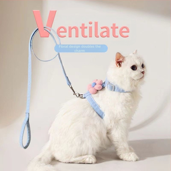 Λουρί γάτας με σχέδιο καρτούν σε Ι-σχήμα, σταθερού μήκους, μάρκα Jelly Beans