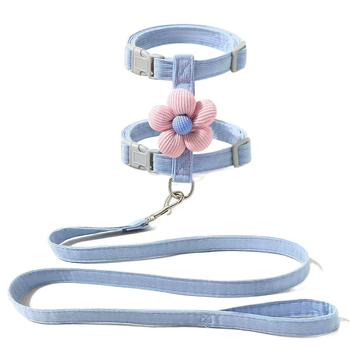 Λουρί γάτας με σχέδιο καρτούν σε Ι-σχήμα, σταθερού μήκους, μάρκα Jelly Beans