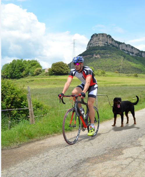 Rozsdamentes acélból készült kutyapóráz, vontatóöv, lánc és kötél háziállatok számára, 20 darabos csomag
