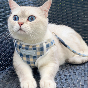 Katinės liemenė su pavadėliu – audinys, vest stiliaus, laukų pasivaikščiojimams