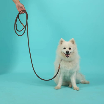 Σκύλος Έλξη Νήμα - Νάιλον, μάρκα Chen Ning, σχέδιο Elata για ελεγχόμενη ανάκτηση, τελική λαβή με γάντζο, σκοινί κατοικίδιων