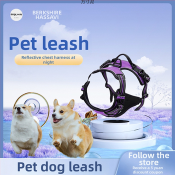 Νάιλον θωρακικό γιλέκο σκύλου, σταθερού μήκους ιμάντας στήθους, κατηγορία: αλυσίδες και σχοινιά κατοικίδιων