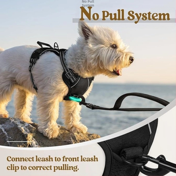 Νάιλον θωρακικό γιλέκο σκύλου, σταθερού μήκους ιμάντας στήθους, κατηγορία: αλυσίδες και σχοινιά κατοικίδιων