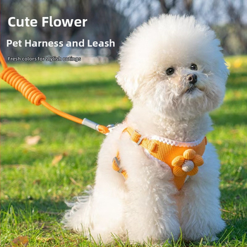 Vest stiliaus šuns harnizas su pavadėliu mažiems šunims; krūtinės diržas; medžiaga: Kita; neimportuota; kategorija: naminių gyvūnėlių virvų diržai.