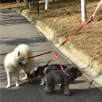 Nylon több‑kutyás póráz – állítható, márka Sisheng
