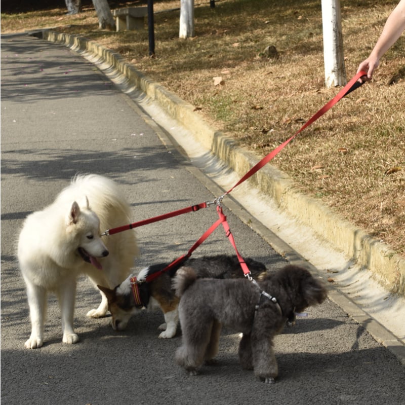 Nylon több‑kutyás póráz – állítható, márka Sisheng