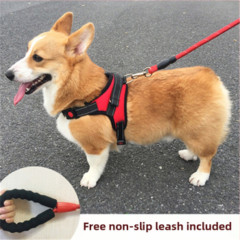 Νάιλον γιλέκο για σκύλους, σε στυλ γιλέκου, για Teddy, Γαλλικό Μπουλντό και Κόργκι