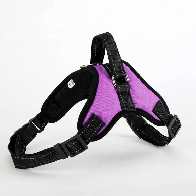 Шлейка за кучета от найлон, стил жилетка, Teddy, French Bulldog и Corgi