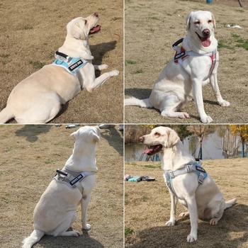 Νάιλον θωρακικό γιλέκο τύπου σαμάρι για σκύλους με αναδιπλούμενο λουρί — Beimu Song