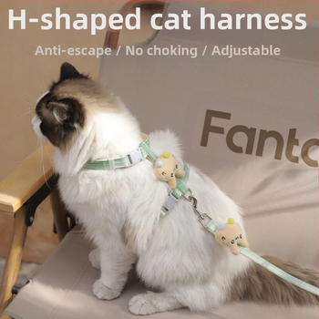 Katės vedimo virvė - neatsidaro, reguliuojamas krūtinės diržas, nailono virvė su lydinio ir ABS užraktais