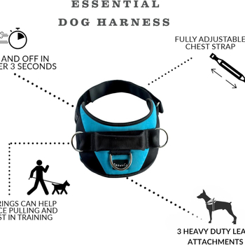 Νάιλον θωρακικός ιμάντας σκύλου, μάρκα Celebration Comes, συσκευασία 50 τεμάχια