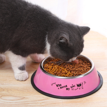 Pipitao μπολ σκύλου από ανοξείδωτο ατσάλι με πολύχρωμο εκτύπωμα - 200 τεμάχια, με άδεια ιδιωτικής ετικέτας