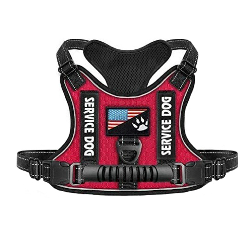 Synergy Pet Állítható Poliészter Kutyahám és Póráz Készlet