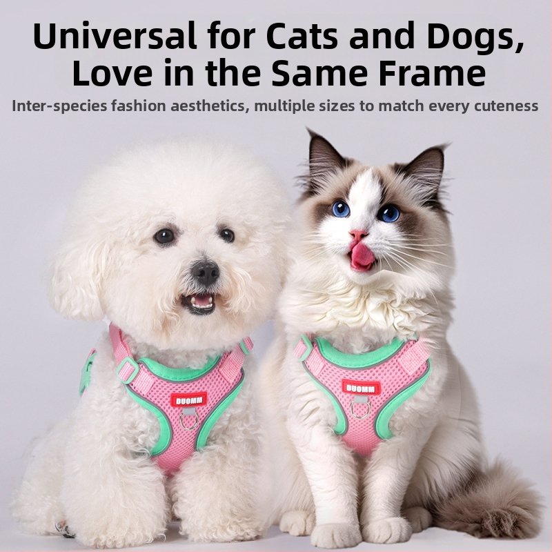 Belu гръден ремък за домашни любимци – полиестер, регулируем, за котки, кутия с 240 бр.