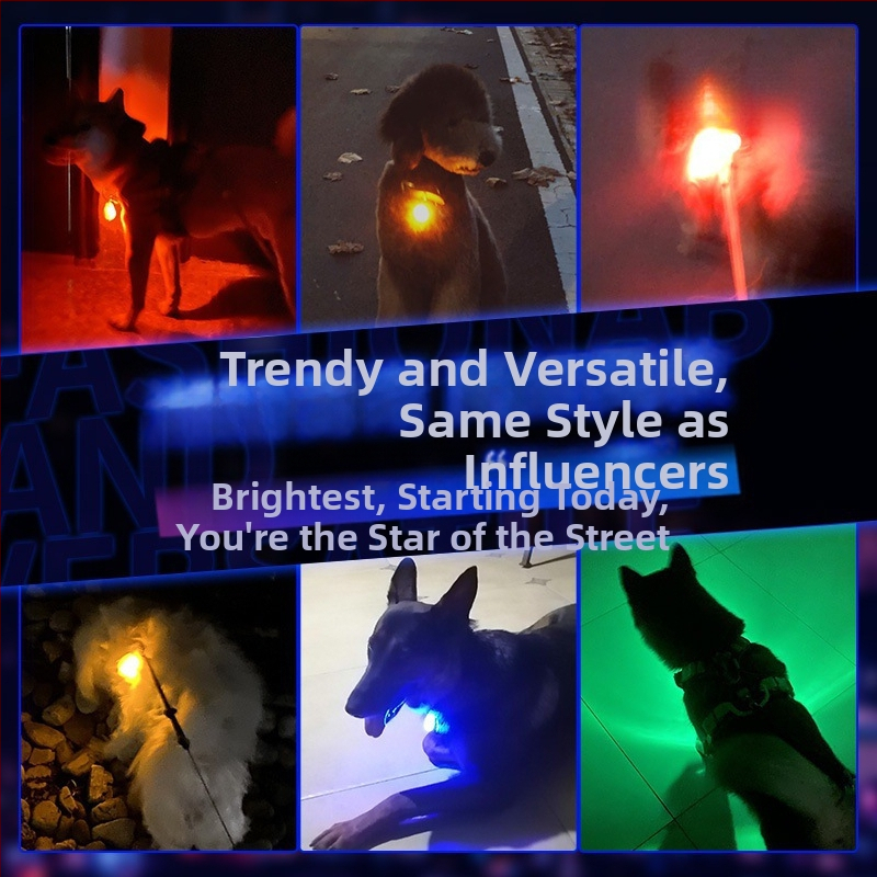 Светеща висулка за домашни любимци с камбанка – против изгубване, светлина за нощни разходки кучета и котки