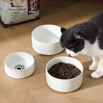 Μπολ γάτας από ανοξείδωτο ατσάλι για φαγητό και νερό – διπλής χρήσης μπολ ταΐσματος