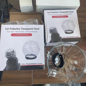 Katės kosminė skrybėlė su Elžbietos apykakle – prieš laižymą, monochrominis raštas, PET medžiaga, karikatūrinis stilius