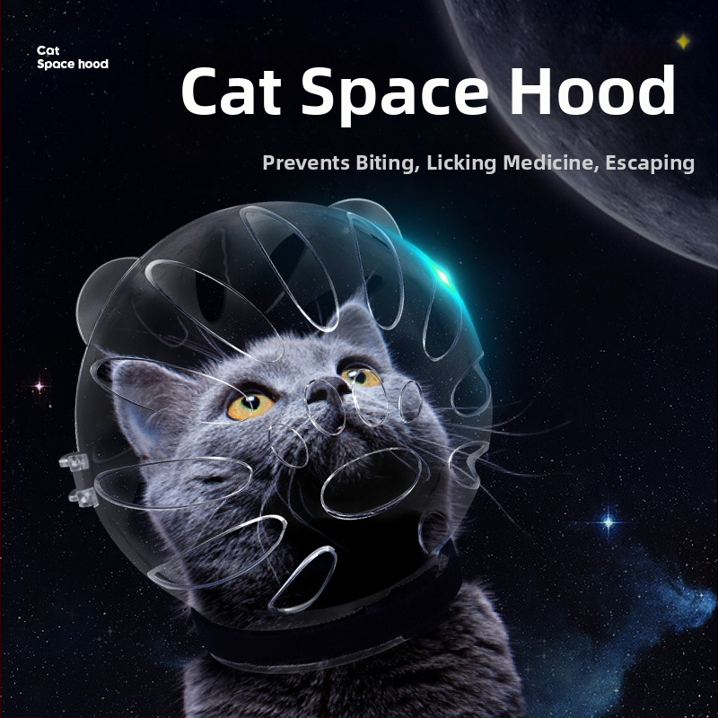 Katės kosminė skrybėlė su Elžbietos apykakle – prieš laižymą, monochrominis raštas, PET medžiaga, karikatūrinis stilius