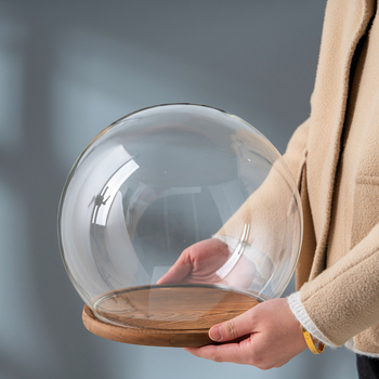 Γυάλινος σφαιρικός θόλος γραφείου με διατηρημένα άνθη, φυσητό γυαλί μπόροσιλικό υψηλό, μοντέρνο μινιμαλιστικό στυλ