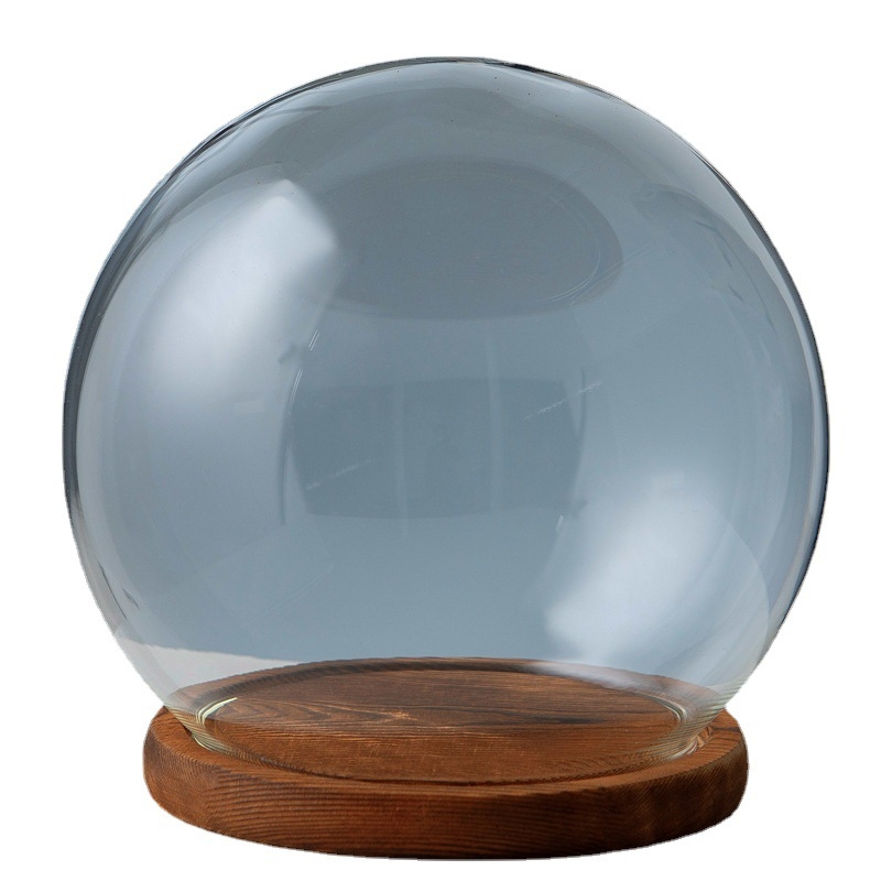 Γυάλινος σφαιρικός θόλος γραφείου με διατηρημένα άνθη, φυσητό γυαλί μπόροσιλικό υψηλό, μοντέρνο μινιμαλιστικό στυλ