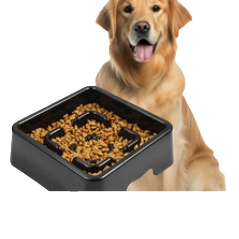 Komplekts ēdienam ar lēnu uzņemšanu suņiem un kaķiem — pret apgāšanos, ietver kausa turētāju, nerūsējošā tērauda kausus, lēnas barošanas plāksnes, trijstūra statīvu