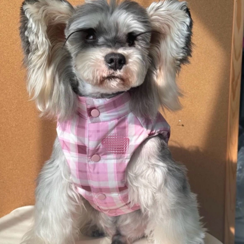 Зимно палто за малки породи кучета — French Bulldog, West Highland White Terrier, Pug, Schnauzer, Poodle
