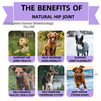 Таблетки за стави и тазобедрени кучета за дъвчене – Angel Paws, 50 таблетки в кутия, 300 g, FDA COA GMP ISO9001 HACCP