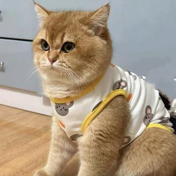 Γιλέκο καλοκαιρινό για γάτες και μικρά σκυλάκια – κατά της αποβολής τριχώματος, ελαφρύ κοραλλ φλίς ύφασμα