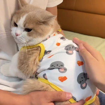 Γιλέκο καλοκαιρινό για γάτες και μικρά σκυλάκια – κατά της αποβολής τριχώματος, ελαφρύ κοραλλ φλίς ύφασμα