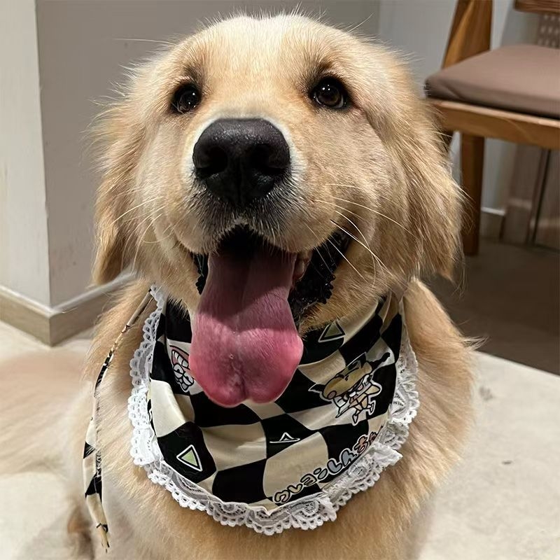 Πετσέτα σάλι για σκύλους με καρτούν εκτύπωση, πολυεστέρα, εκτύπωση, κατάλληλη για όλες τις εποχές