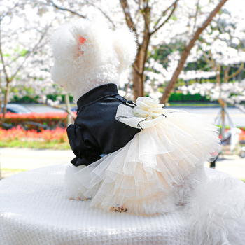 Φούστα για σκύλους από πολυεστέρα, καθημερινό στυλ, unisex ρούχα κατοικίδιων