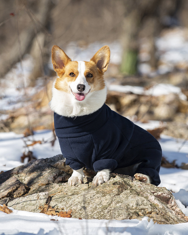 Ada fliso šunų striukė – šilta rudens-žiemos, laisvalaikio stilius (Flisas; Keturių kojų; Ruduo-žiema; Laisvalaikis; Ada)