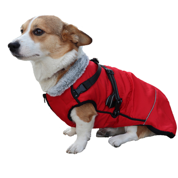 Žieminiai šunų drabužiai – audinio paltas, laisvalaikio stilius, prekės ženklas odd pet