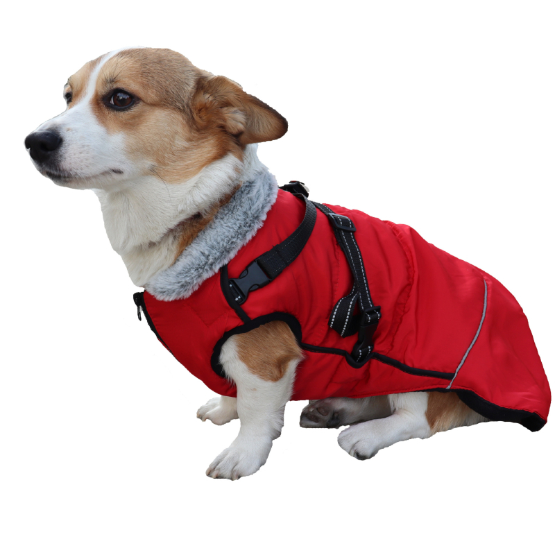 Žieminiai šunų drabužiai – audinio paltas, laisvalaikio stilius, prekės ženklas odd pet