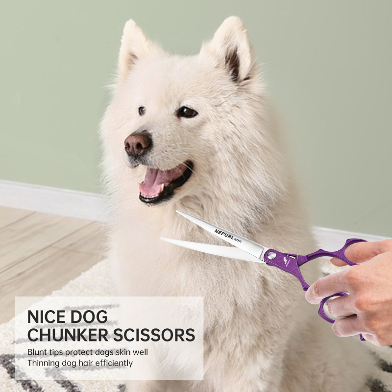 Ножици за поддръжка на домашни любимци, JS неръждаема стомана, за красота