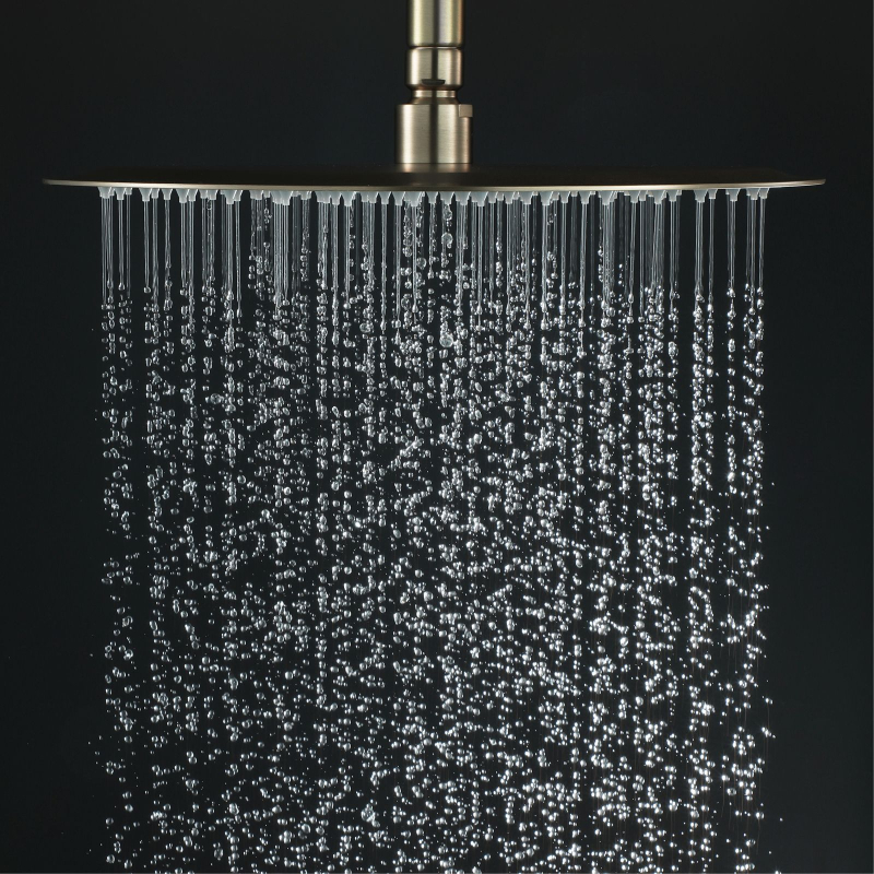 HIDEEP viršutinė dušo galvutė - nerūdijantis plienas, lietaus funkcija, įmontuojama į sieną, modelis HI13258, temperatūra 0–100°C