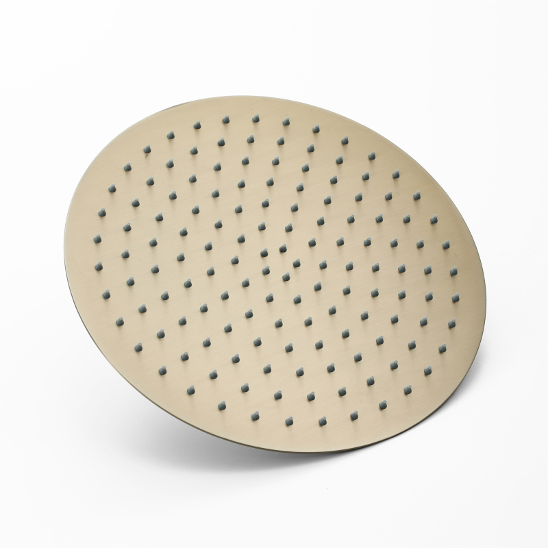 HIDEEP viršutinė dušo galvutė - nerūdijantis plienas, lietaus funkcija, įmontuojama į sieną, modelis HI13258, temperatūra 0–100°C