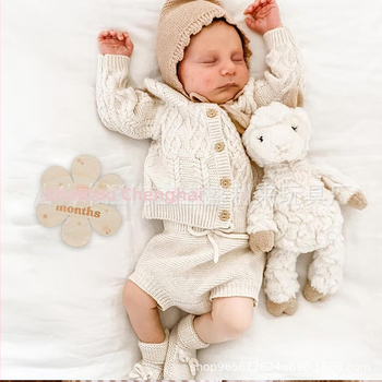 Ξύλινες μηνιαίες κάρτες ορόσημο για μωρά – φωτογραφικά αξεσουάρ από ξύλο boxwood, αναμνηστικό