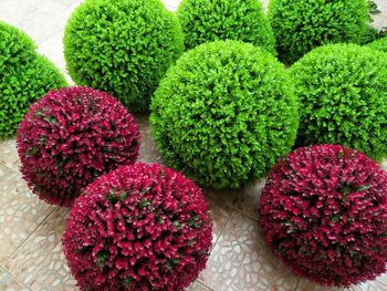 Qi Qi Διακοσμητική μπάλα τεχνητού χόρτου – πλαστικό λουλούδι, έγχυση με φόρμα, συσκευασία σε χαρτοκιβώτιο