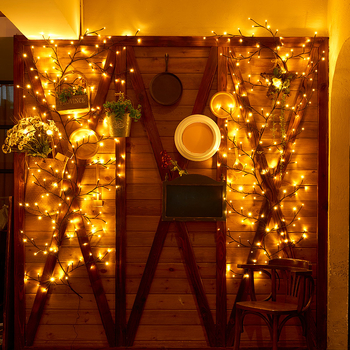 LED λάμπα κλαδιού με εύκαμπτα κλαδιά σε ρατάν για εσωτερική διακόσμηση, IP43, 3 lm, 3000K, ≤36V