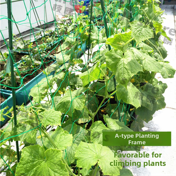 Πλέγμα για αναρρίχηση φυτών, σωλήνες από χάλυβα με πλαστική επικάλυψη, κηπουρική