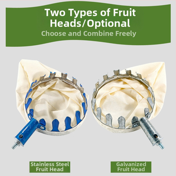 Teleskopinė nerūdijančio plieno vaisių rinkimo lazda su kietuoju graikinio riešuto galu