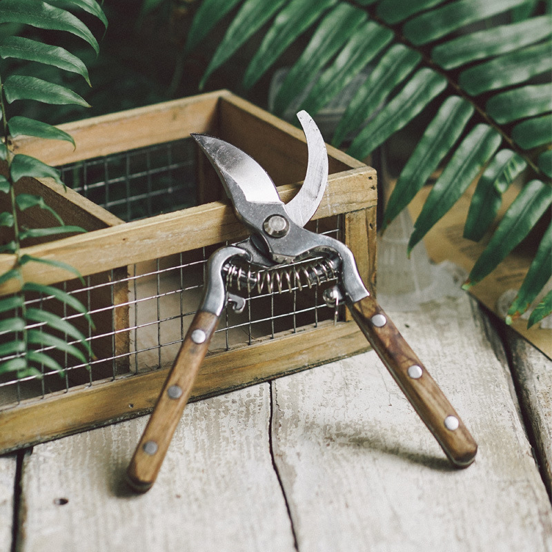 Kertészeti metszőolló – gyümölcsfák ágainak metszéséhez