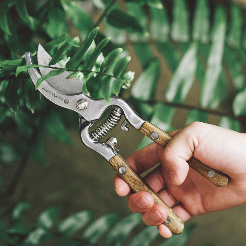 Kertészeti metszőolló – gyümölcsfák ágainak metszéséhez