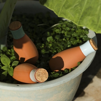 JX δοχείο ποτίσματος με σταγόνα, πηλός, χωρητικότητα 400 ml, διαρροή νερού