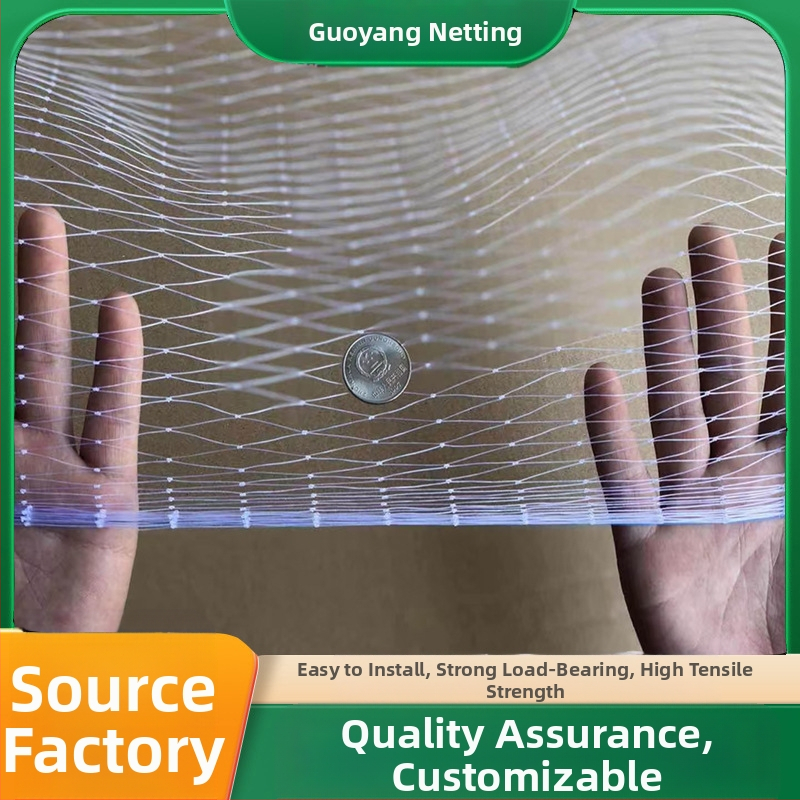 Paukščių apsaugos tinklas vaisių sodui, skaidrus polietilenas tinklas, plotis 1/3/5/10/20/30