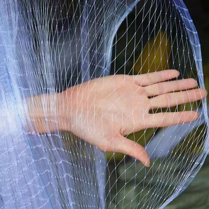 Paukščių apsaugos tinklas vaisių sodui, skaidrus polietilenas tinklas, plotis 1/3/5/10/20/30