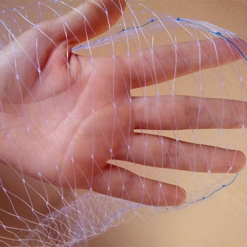 Paukščių apsaugos tinklas vaisių sodui, skaidrus polietilenas tinklas, plotis 1/3/5/10/20/30